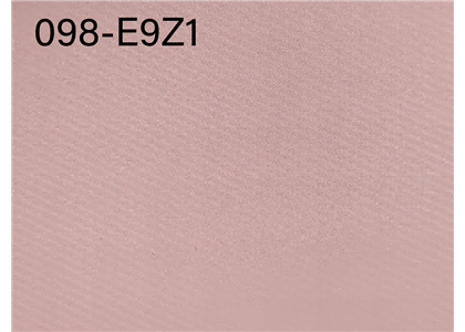 098-E9Z1