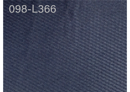 098-L366