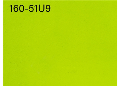 160-51U9