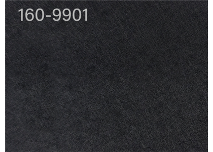 160-9901